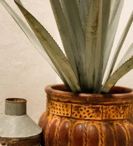 New Mex Inspired Bo-ho Chic With Private Patio And Roof Terrace * Mexico