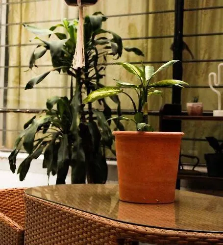 Appartement New Mex Inspired Bo-ho Chic With Private Patio And Roof Terrace *