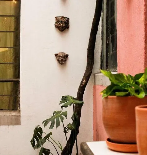 New Mex Inspired Bo-ho Chic With Private Patio And Roof Terrace Mexico